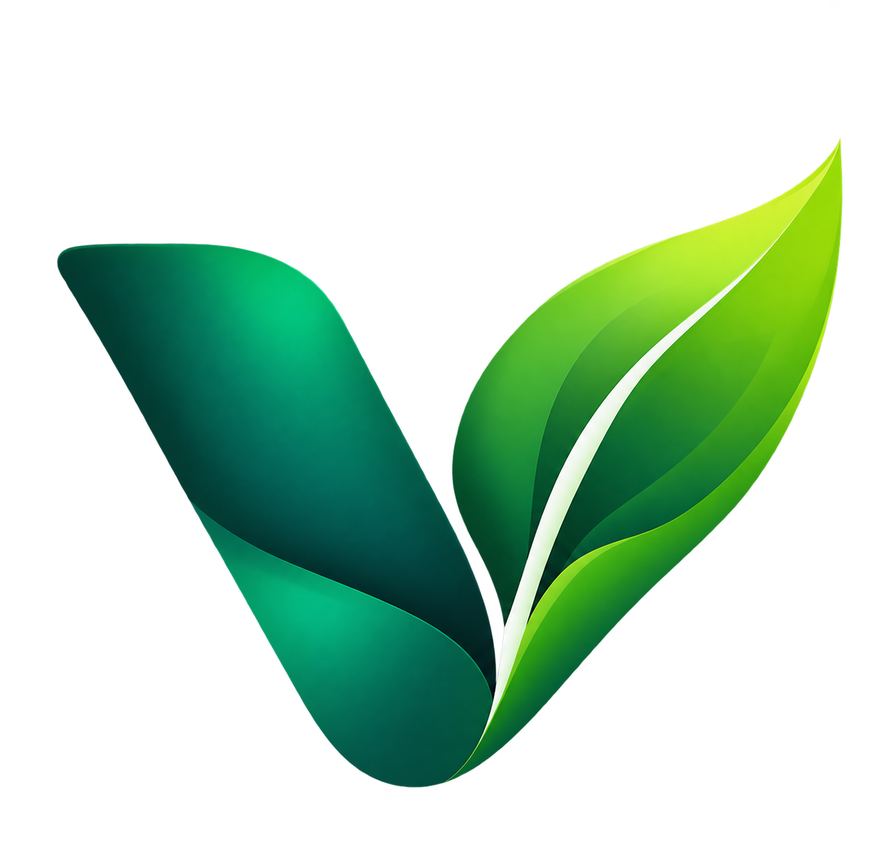 MyVegmarket